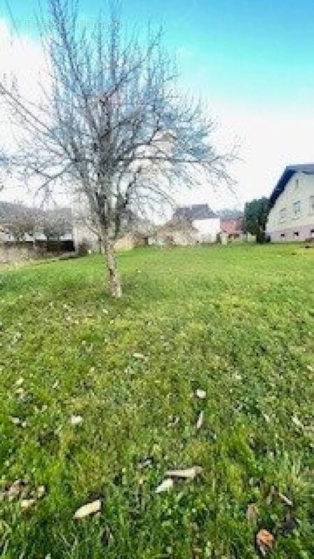 Photo 1 - Terrain à OSENBACH