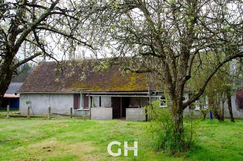 Maison à vendre 4 pièces SAINTE GEMME (36) - photo 19