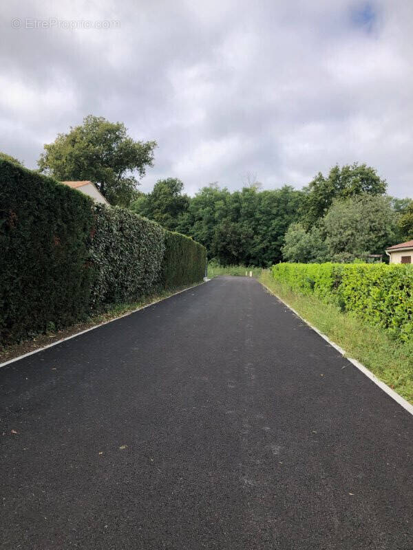 Terrain à LES MATHES