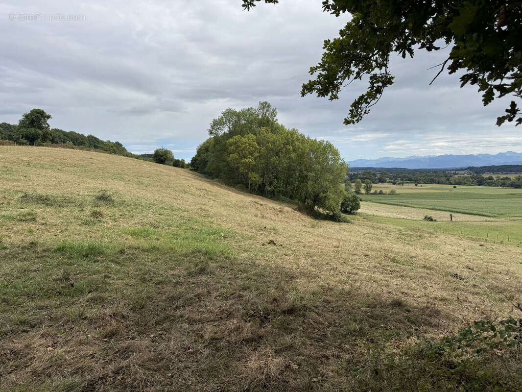 Photo 2 - Maison à OSSENX