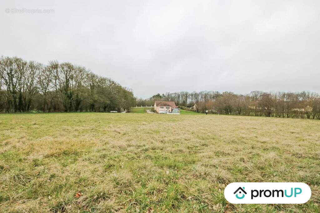 Terrain à CHAILLOUE