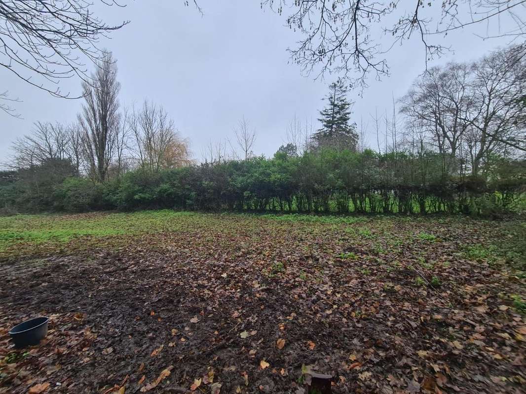 Terrain à WACQUINGHEN