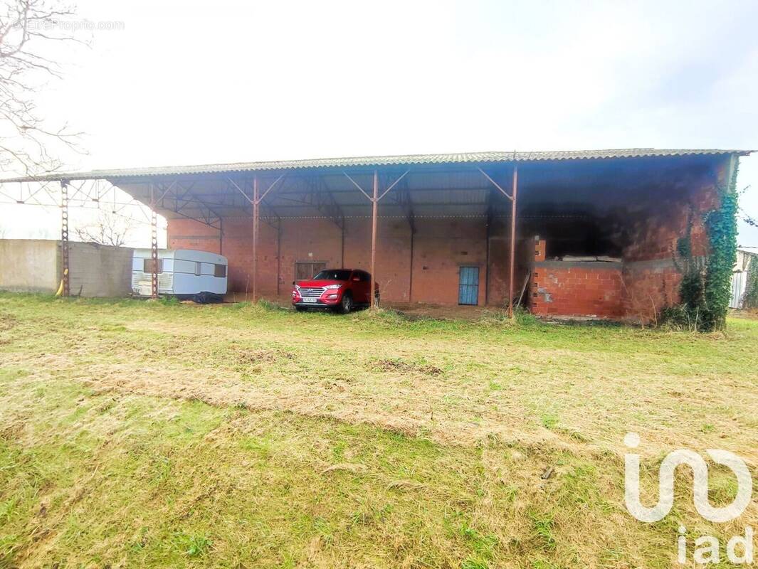 Photo 1 - Terrain à NEGREPELISSE