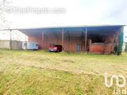 Photo 1 - Terrain à NEGREPELISSE