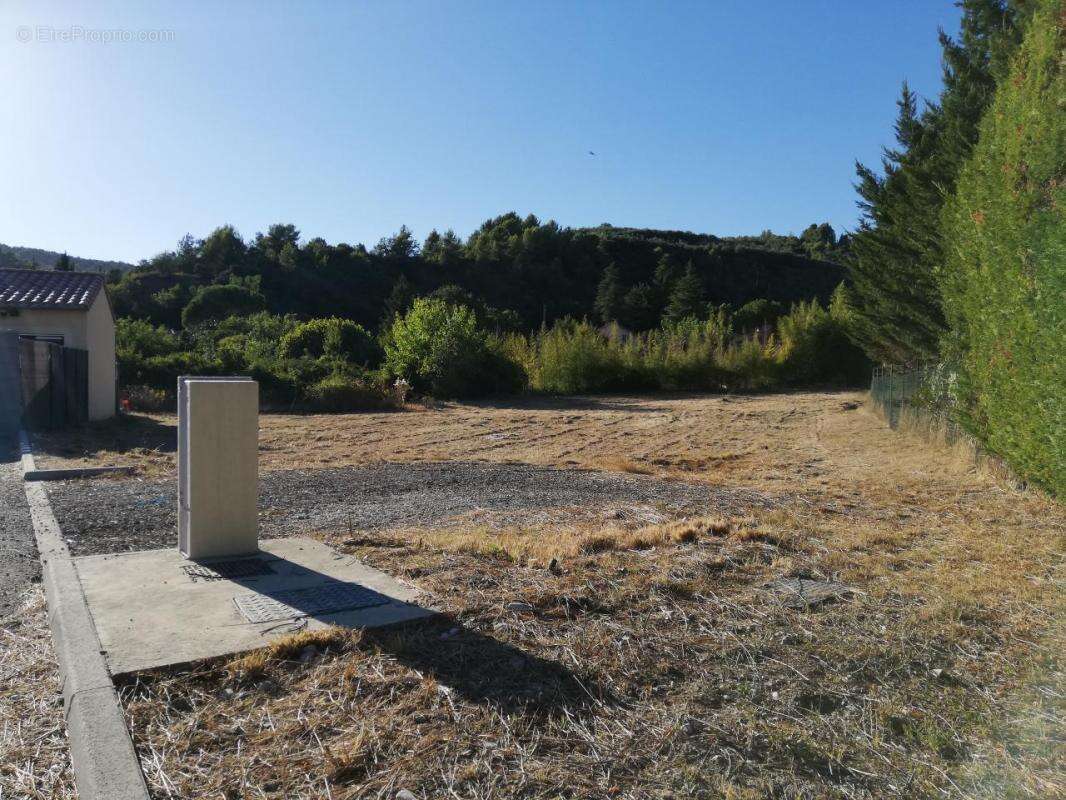 Terrain à BUIS-LES-BARONNIES