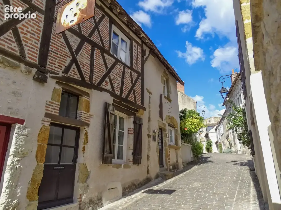 Charmante maison Dans la cité médiévale de Mennetou sur Cher - photo 20