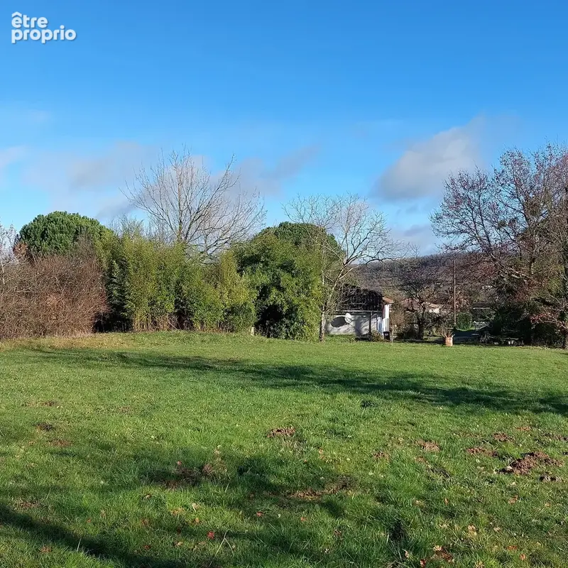 Maison à vendre 7 pièces MONTAUBAN (82) avec hangar de 150m², 6861m² de terrain avec une partie boisée - photo 36