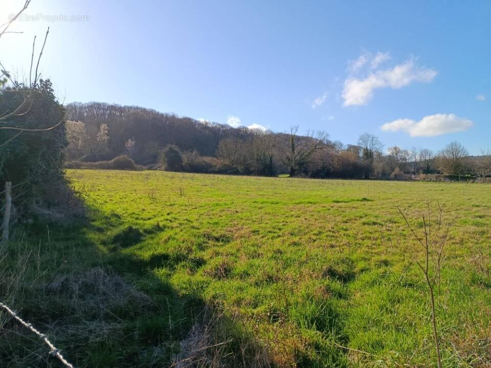 Terrain à TOUTAINVILLE