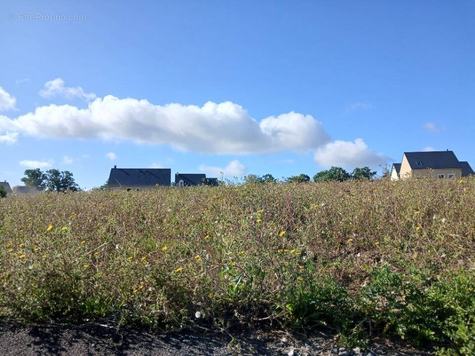 Terrain à PONT-L&#039;EVEQUE