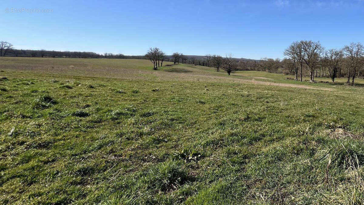 Exploitation céréalière de 170ha dans l'Allier (03) - photo 20