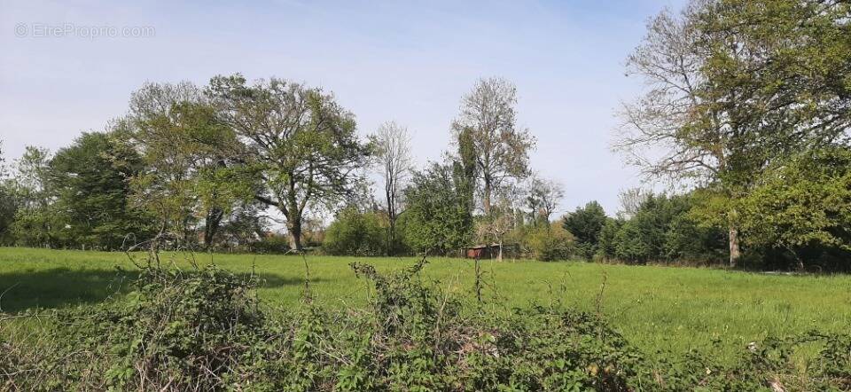 Terrain à SAVIGNE-L'EVEQUE