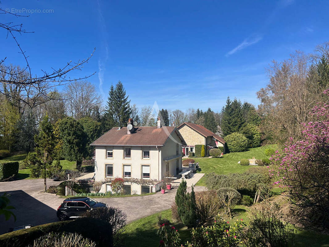 Exceptionnel, Epinal proche centre ville, propriété 1ha de terrain - photo 6