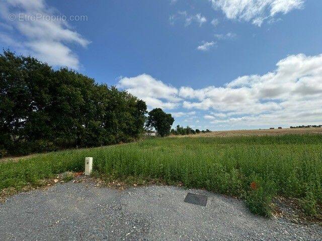 Terrain à SAINT-MEDARD-D&#039;AUNIS
