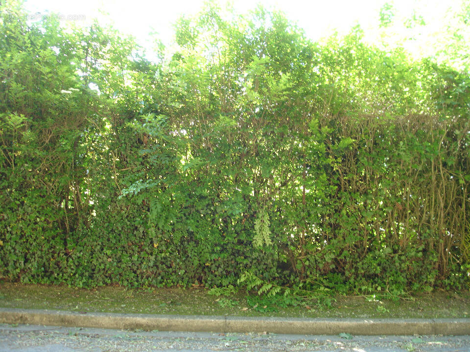 Terrain à ONCY-SUR-ECOLE