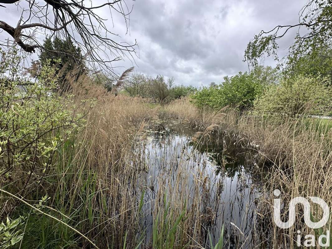 Photo 4 - Maison à SAINT-JEAN-LE-THOMAS