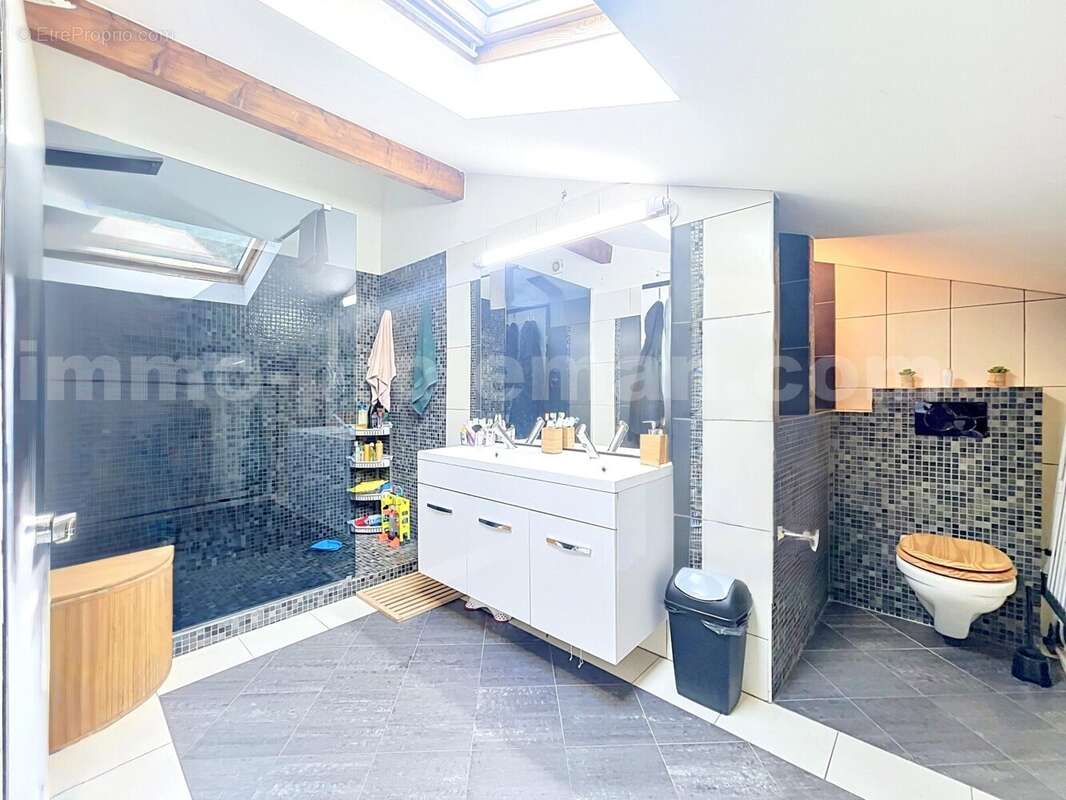 Appartement_Saint_Jeoire__grand_espace_proche_ecole_genève_frontière_suisse_ceva_bus_commerces_lumineux_calme_Balcon_extérieur_séjour_salon_cuisine_chambre_1_2_3_salle_de_d'eau_