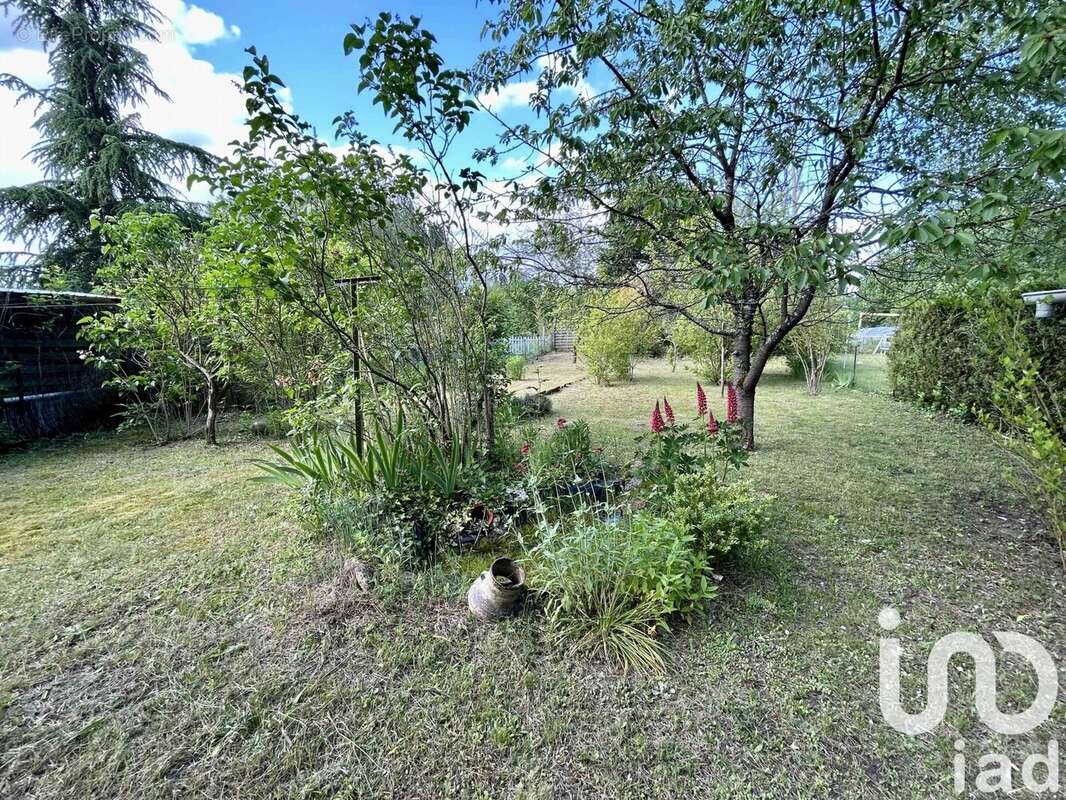 Photo 5 - Maison à LARCHANT