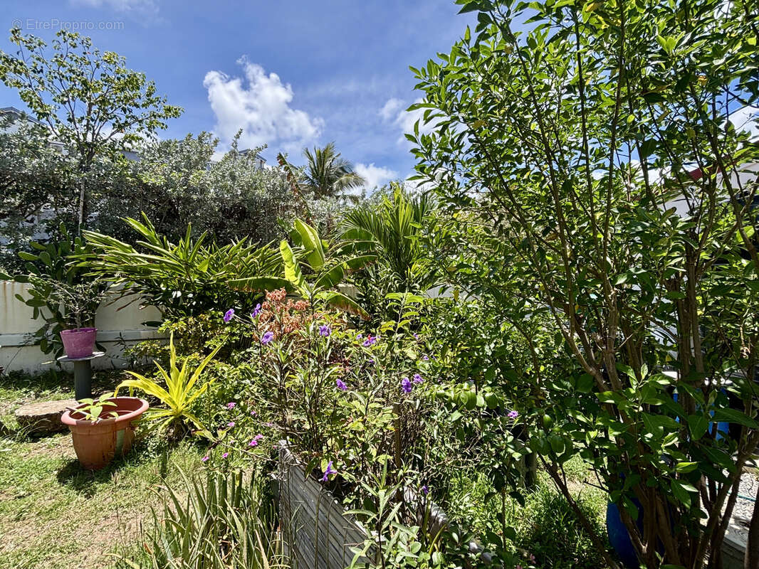 Maison à SAINT-MARTIN