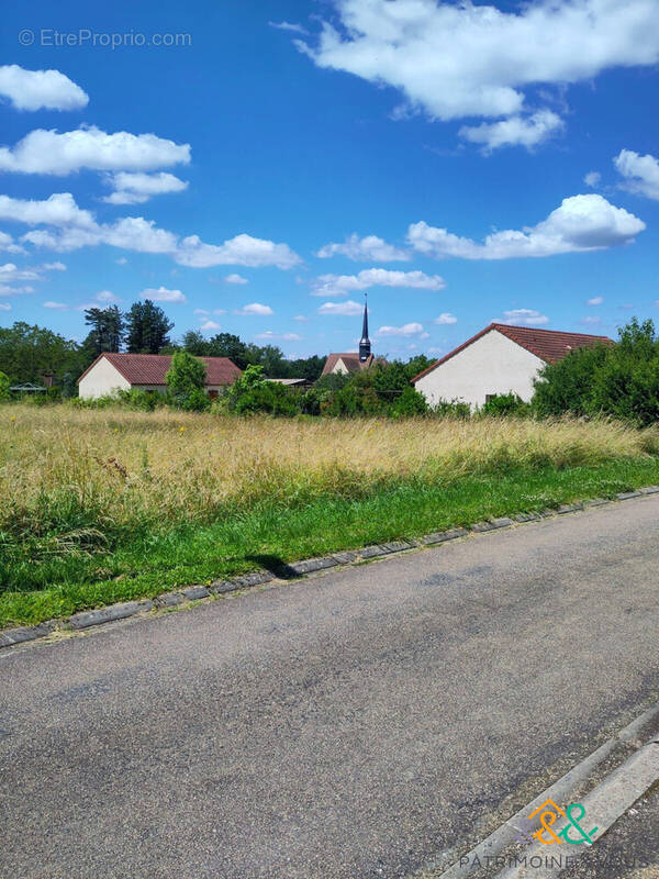 Terrain  - Terrain à SAINT-MAURICE-LE-VIEIL