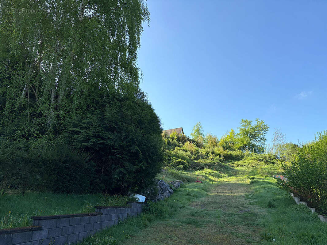 Terrain Saint Avold 3801 m2 - photo 7