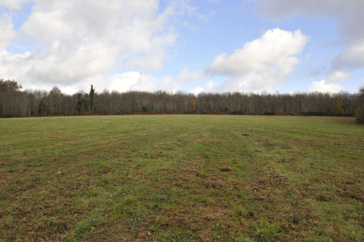 Terrain à VICQ-SUR-BREUILH