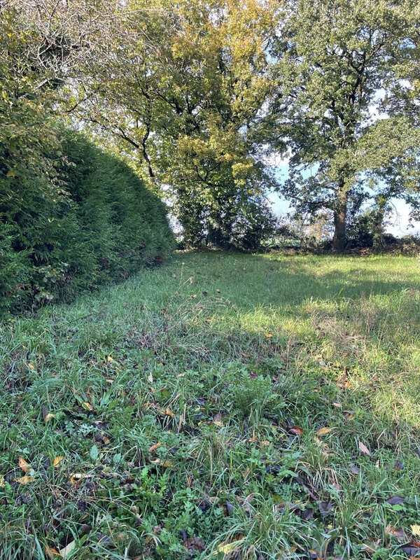Maison en pierres et ardoises - photo 8