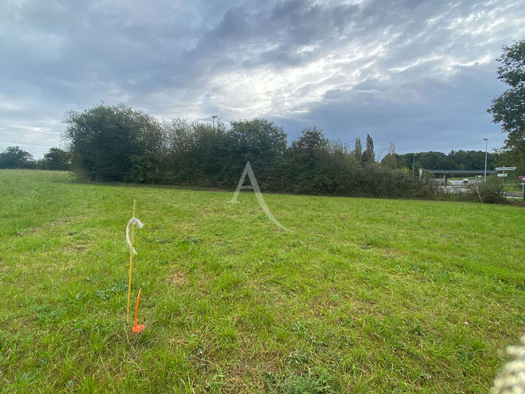 Terrain à LA MOTHE-ACHARD