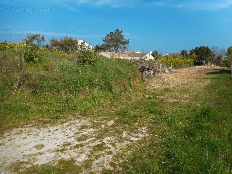 Terrain à SAINT-PIERRE-D'OLERON