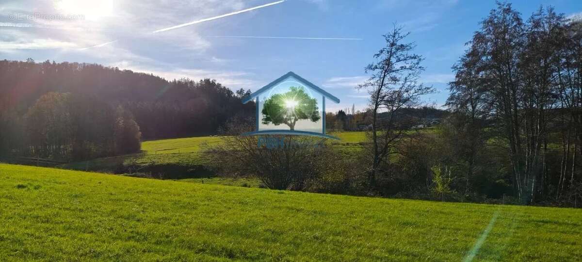 Maison à LA NEUVEVILLE-DEVANT-LEPANGES