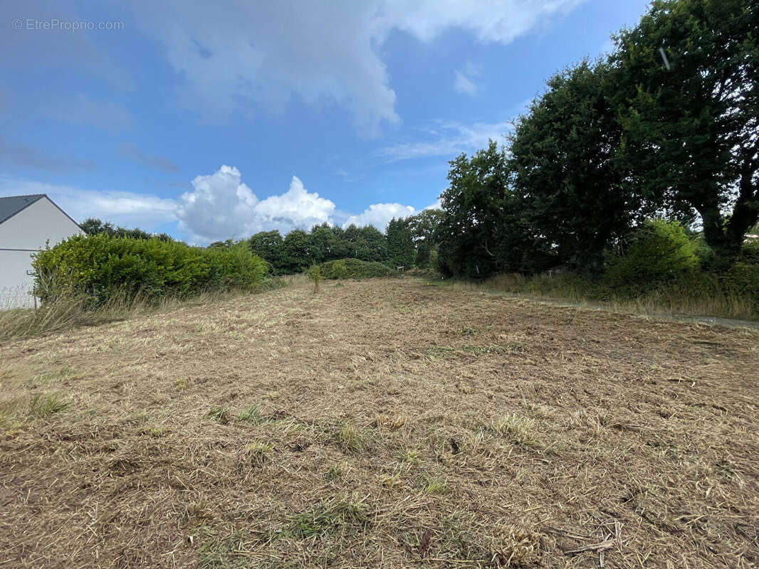 Terrain à CLOHARS-FOUESNANT