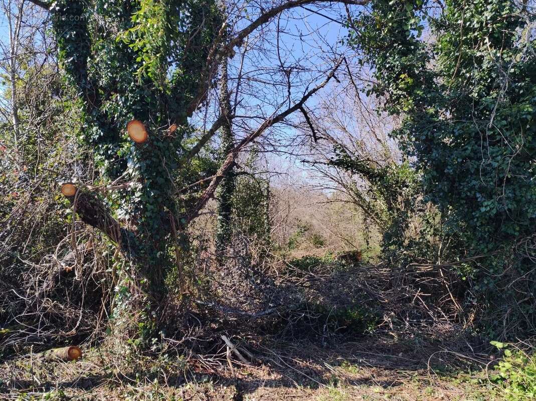 Terrain à PIEGUT-PLUVIERS