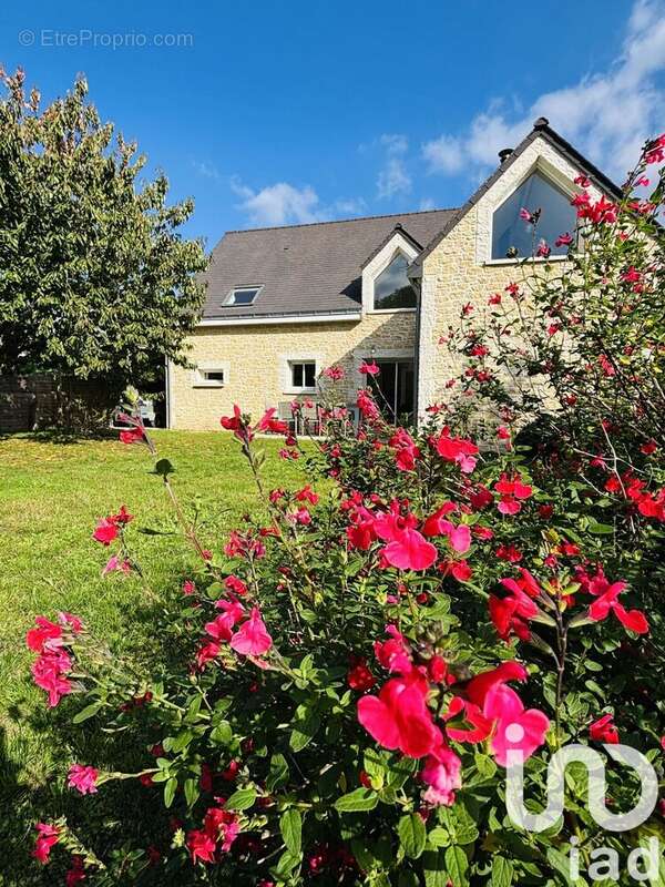 Photo 6 - Maison à TIERCE