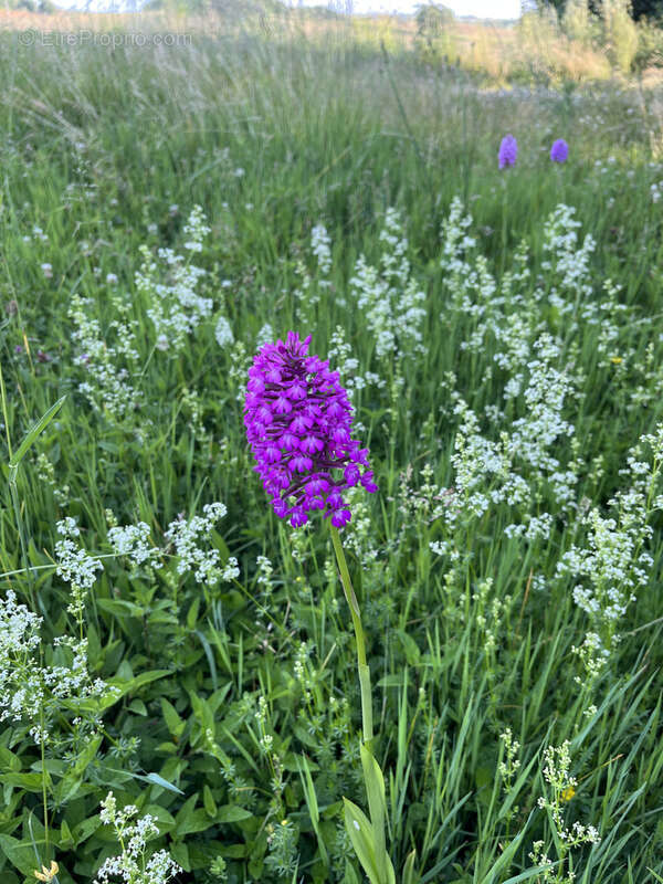 Maison à SAINT-CLAR