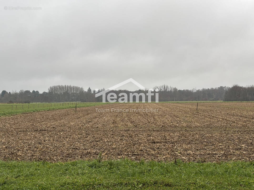Terrain à GERMIGNY-DES-PRES