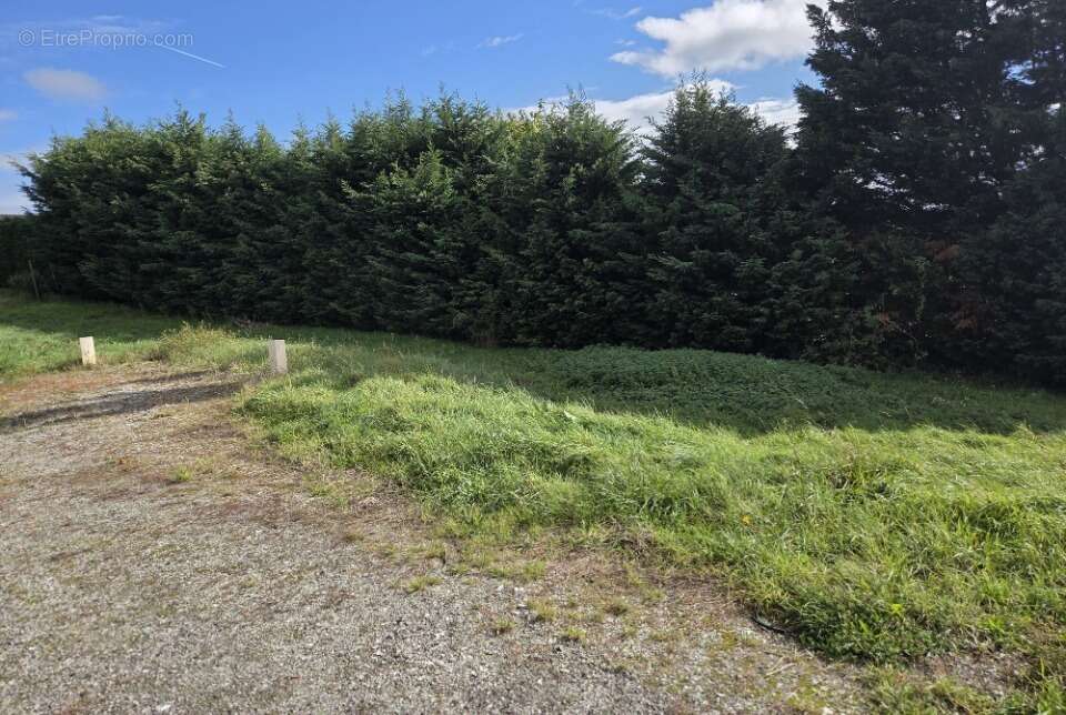 Terrain à LES HAIES