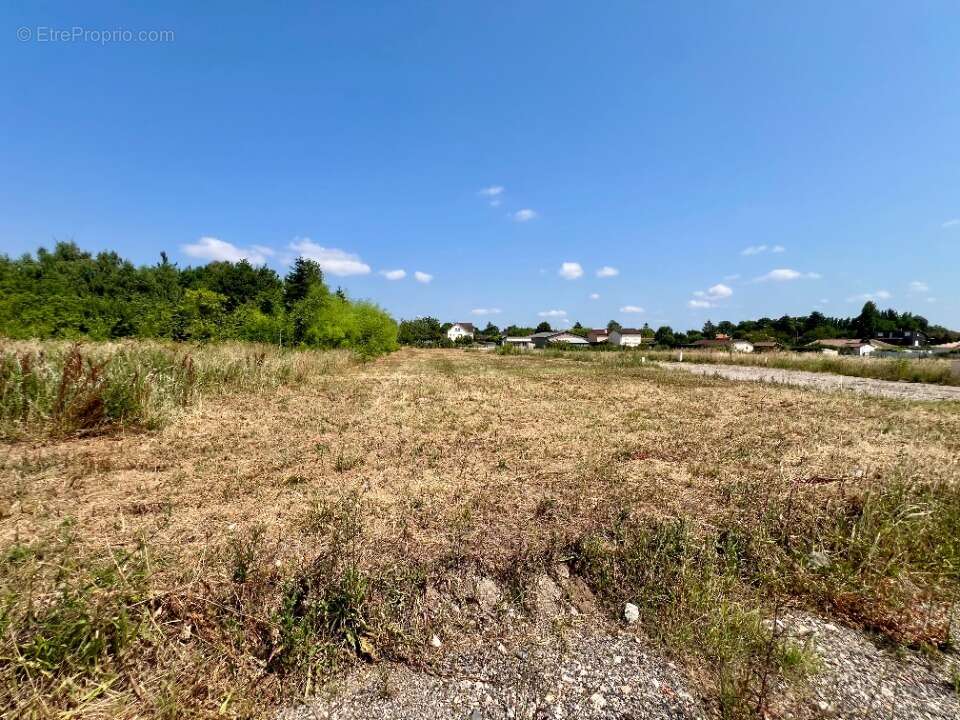 Terrain à REPLONGES