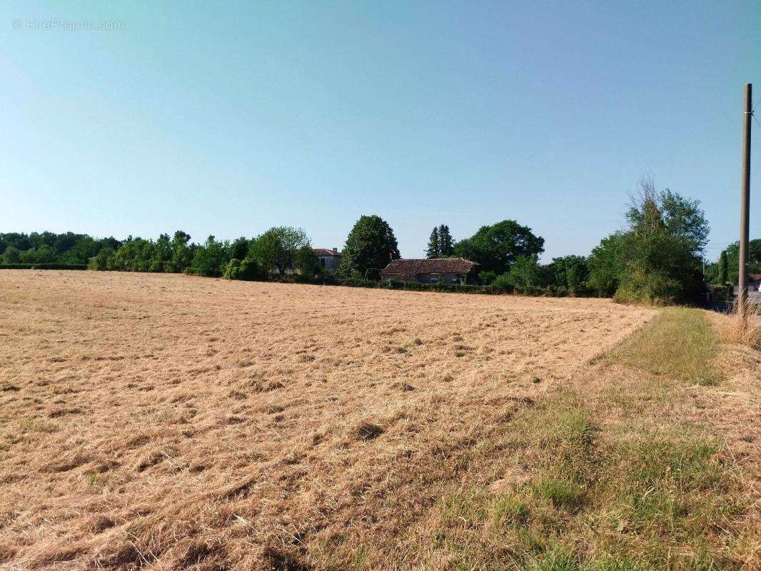 Terrain 2 546 m² à vendre à Merignac (17210) - photo 3