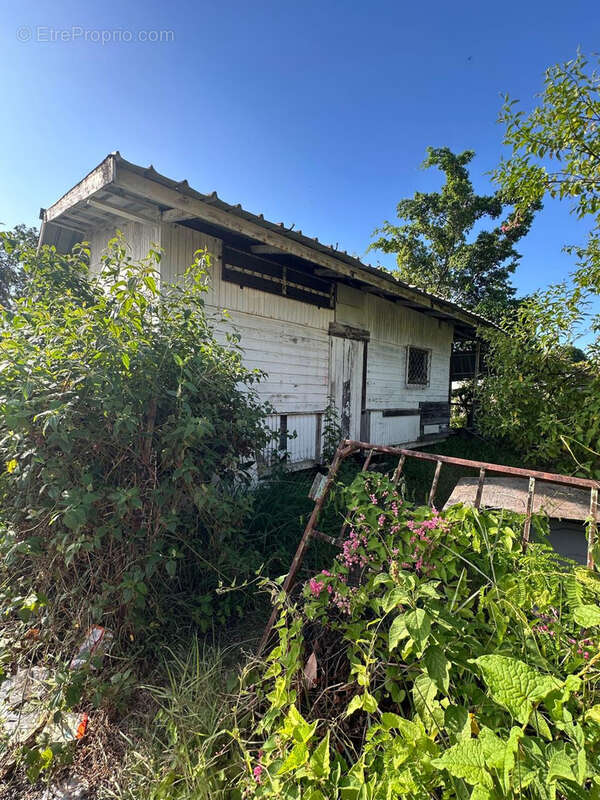 CALYPSO INSALUBRE avec terrasse 2 chambres à vendre 84800 € à Kourou - photo 4