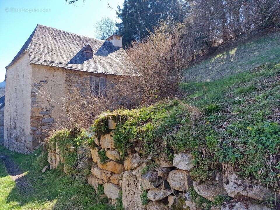 Maison à BORDERES-LOURON