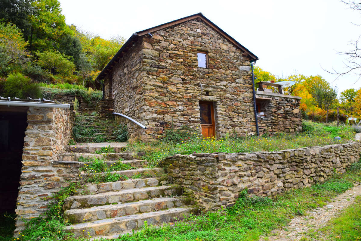 Maison à SAINT-PRIVAT-DE-VALLONGUE