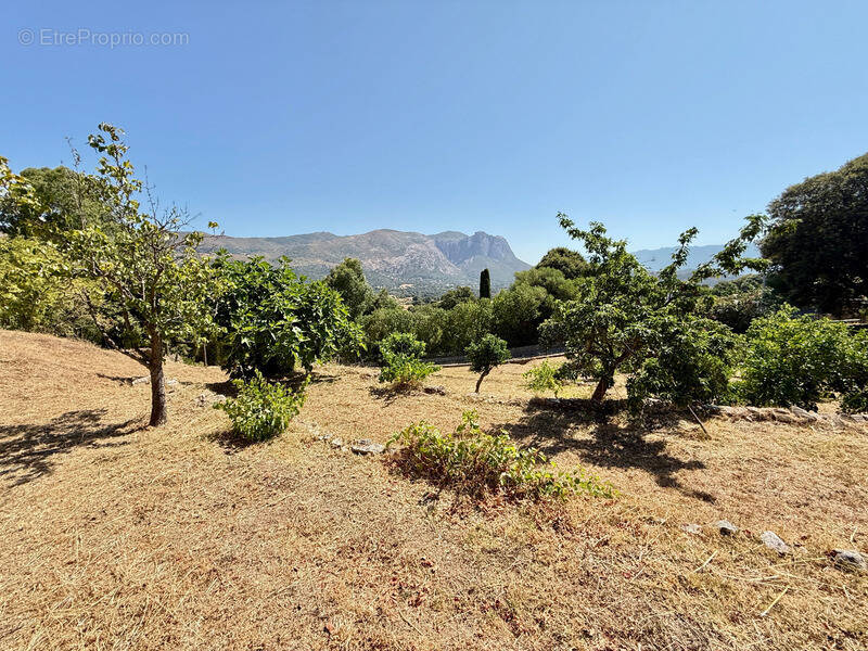 Terrain à ALATA
