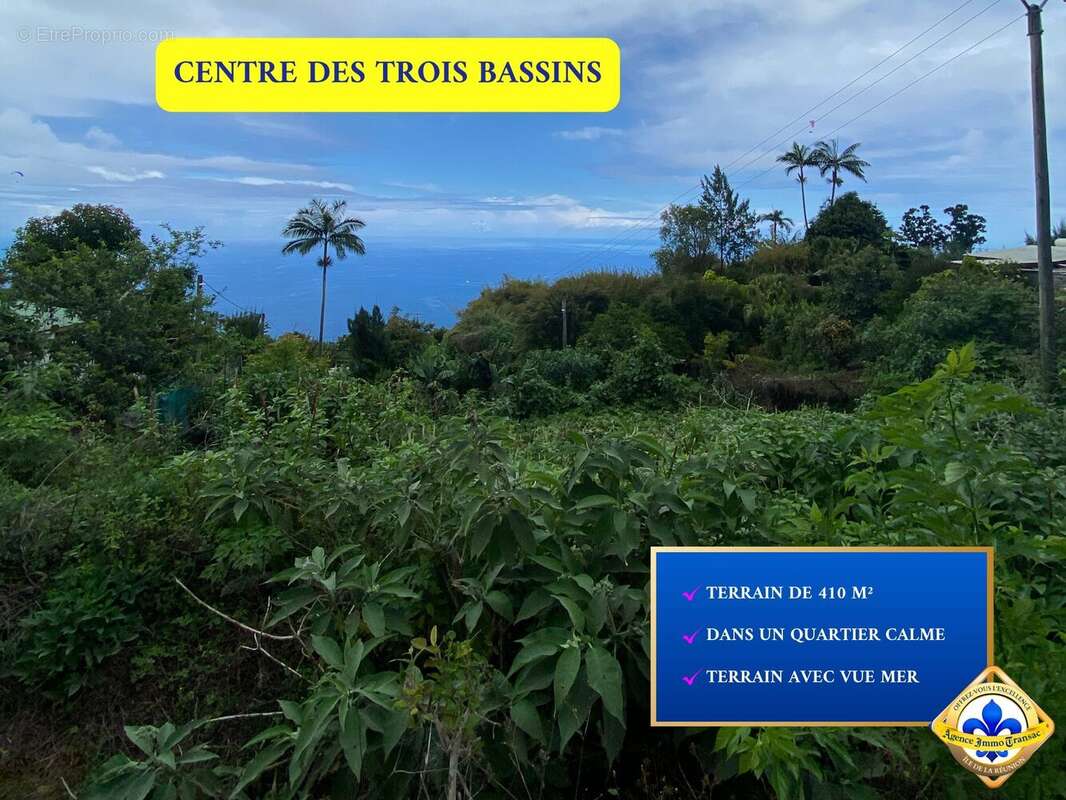 Terrain à LES TROIS-BASSINS
