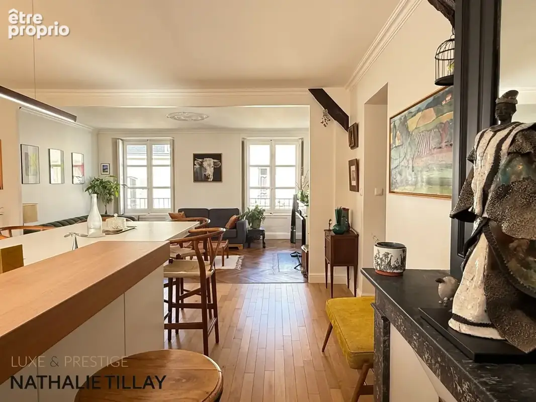 Appartement  à vendre 126 m², en hotel particulier  ORLEANS Bretonnerie , garage dans la cour interieure - photo 2