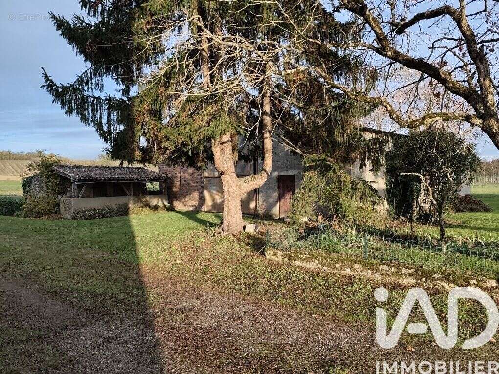 Photo 6 - Maison à DURAS