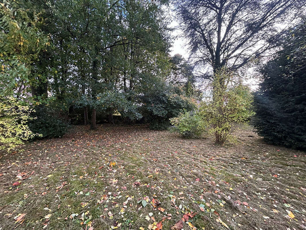 Terrain à MONTIGNY-SUR-LOING