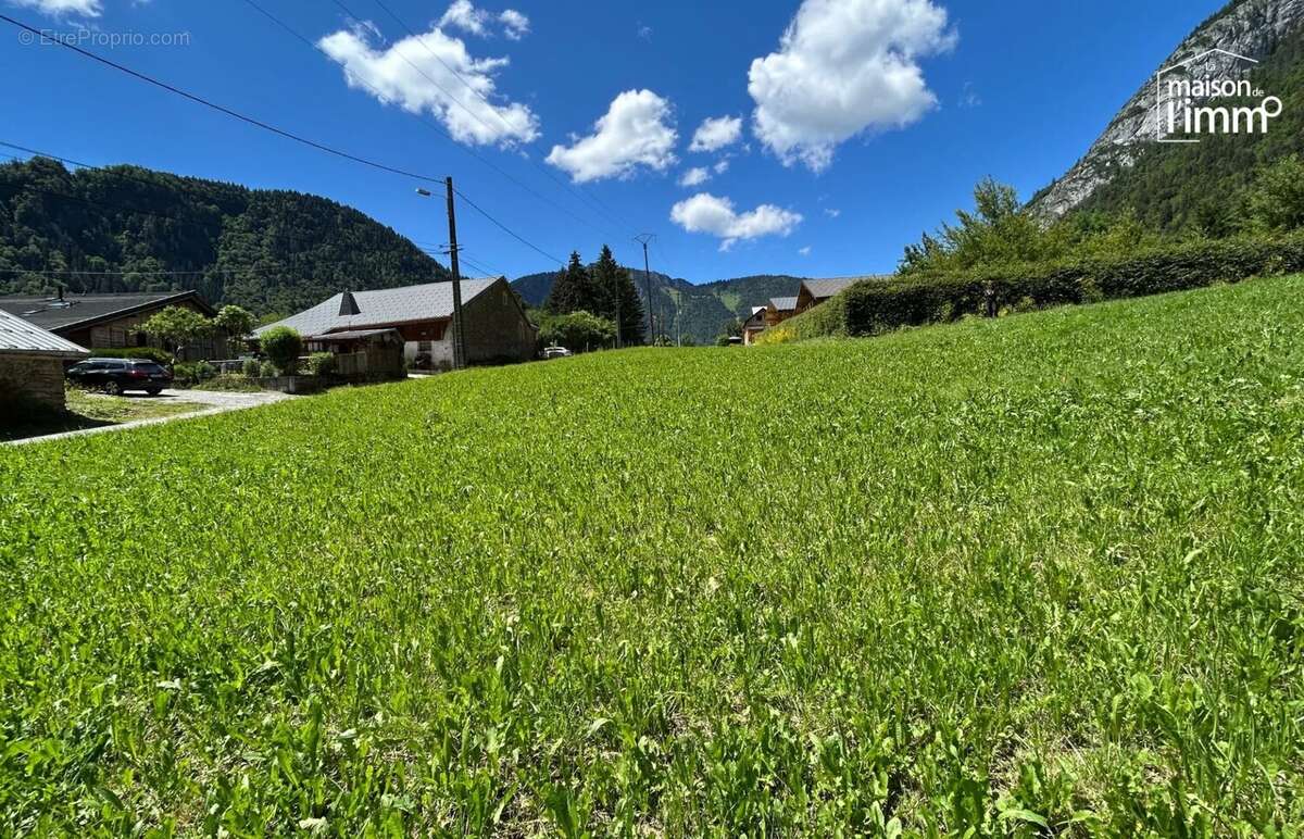 Terrain à ABONDANCE
