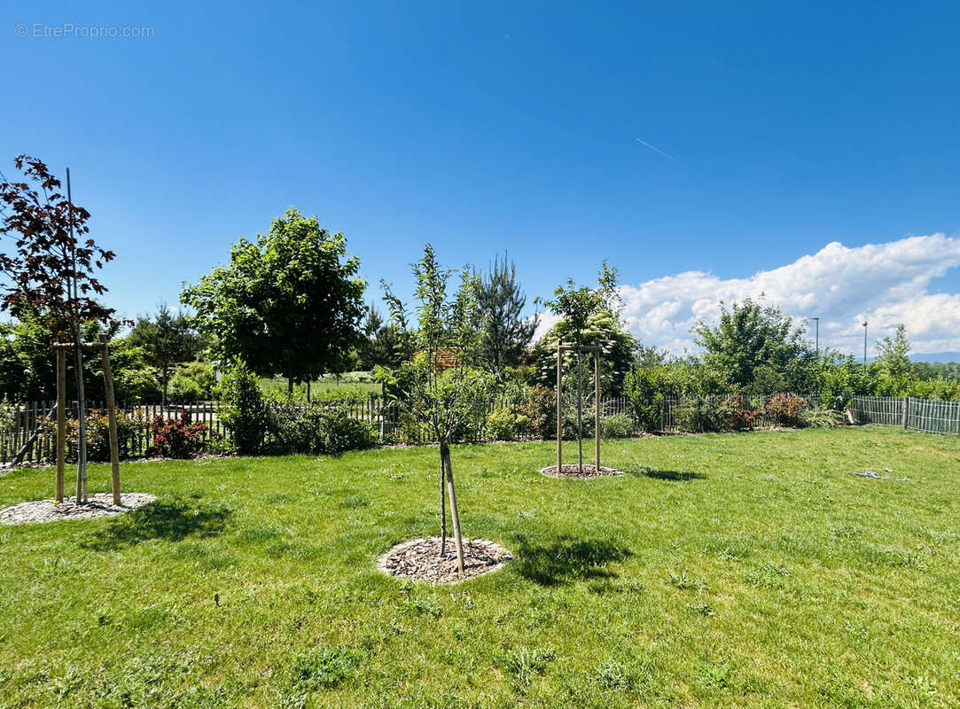 Appartement à ENSISHEIM