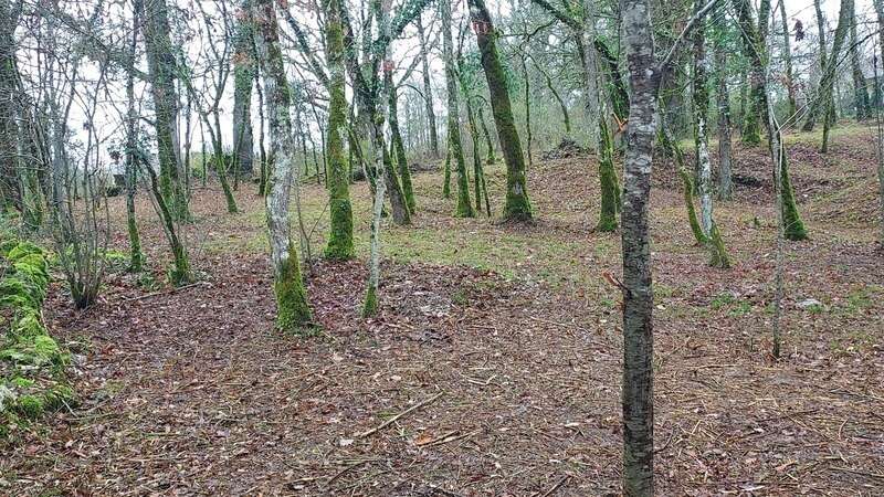 Terrain à vendre de 1 255,00 m² BALADOU (46) - photo 7
