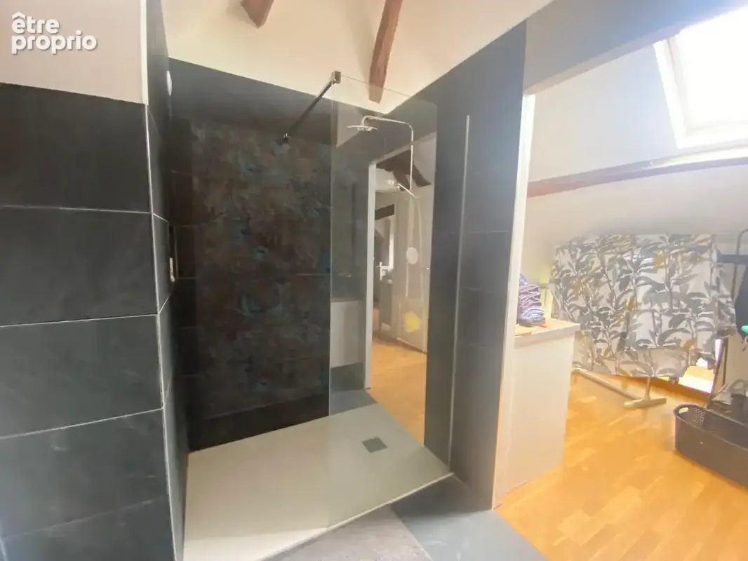 Belle longére + appartement et local commercial - photo 12