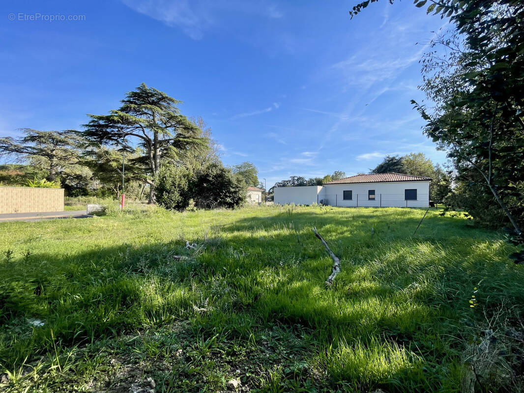 Terrain à LAVAUR
